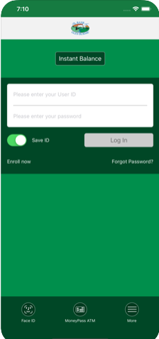 Personal Banking App Login Screen